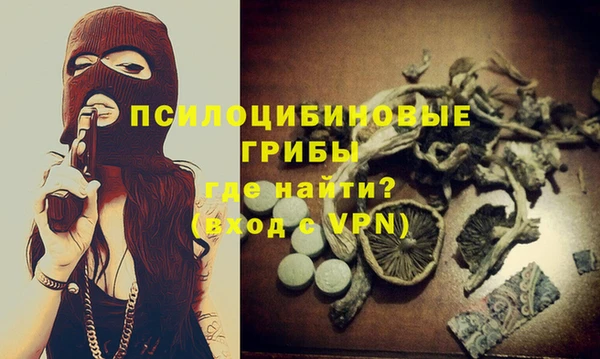 твердый Абаза