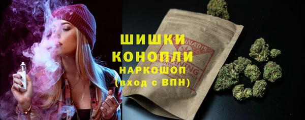 твердый Абаза